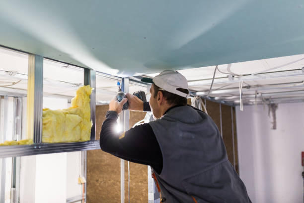 Best Insulation Maintenance and Repair in Basking Ridge, NJ